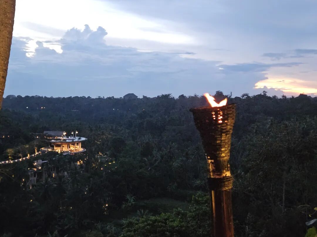 As the World Reorders: Interviews, Content Creation, and Digital Nomadism