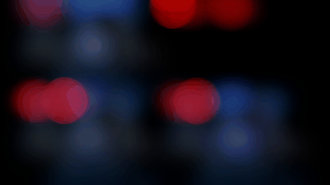 STAG-VINS teaser